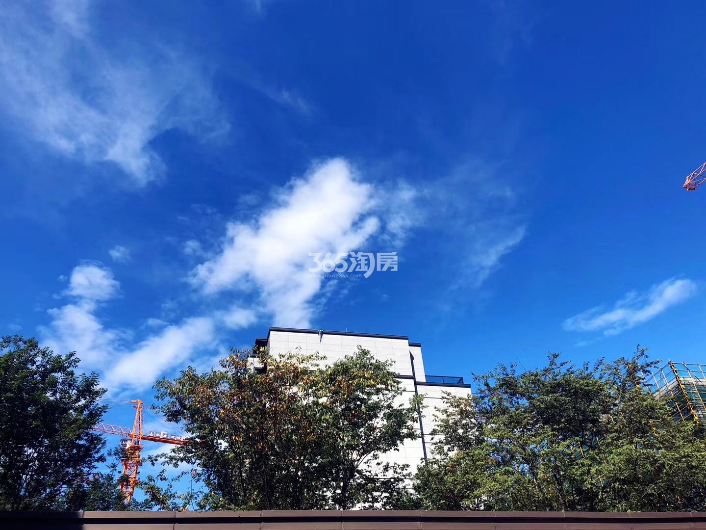 保利澄品低密度多层局部实景图 （2019年8月）