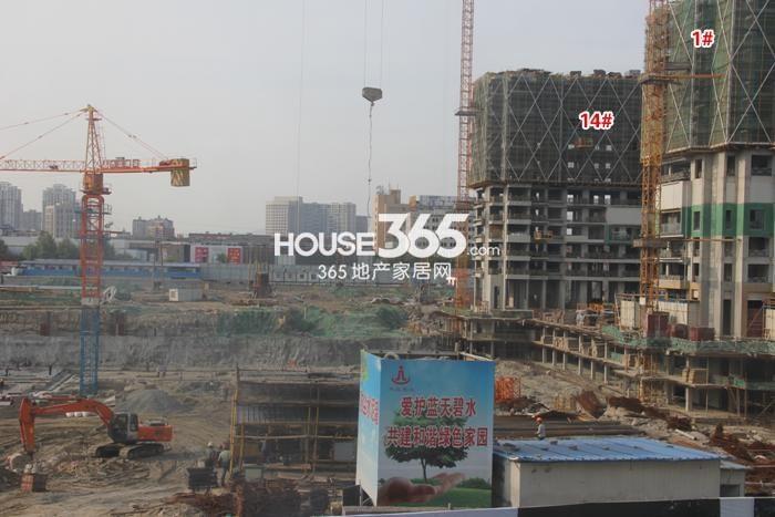 滨江华家池1、14号楼施工实景图 2015年5月摄