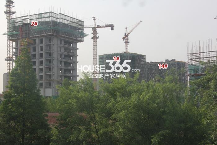 滨江华家池14、1、2号楼施工实景图 2015年5月摄