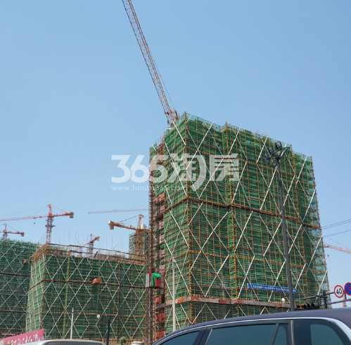 山水如画最新动态