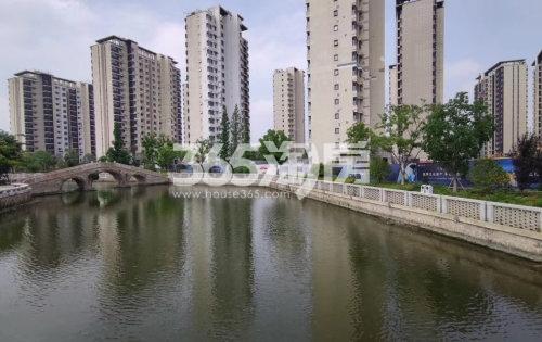 运河与岸楼栋周边水景实景图