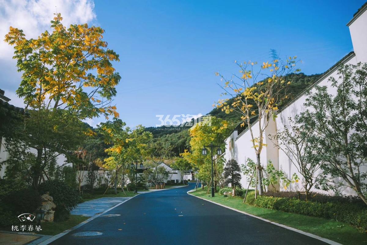青云山居青云山居桃李春风中式小院实景（2018.11）