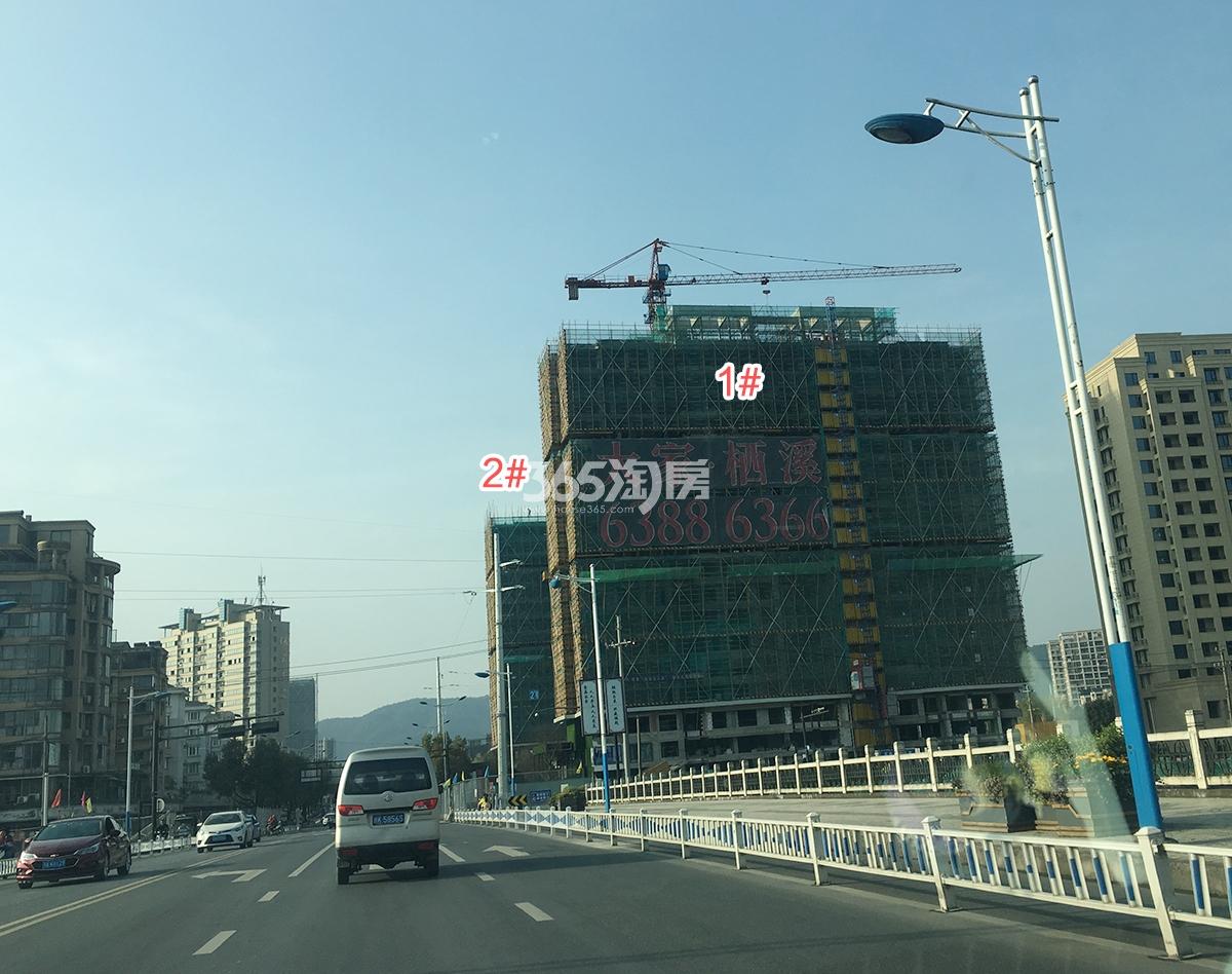 大家栖溪工程进展（2019.03）