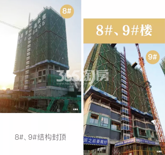 2019年7月滨江金地御品8、9号楼实景