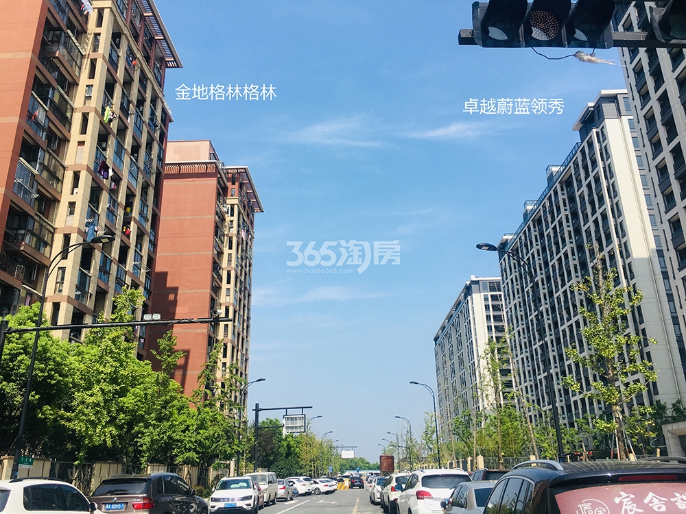卓越蔚蓝领秀实景图