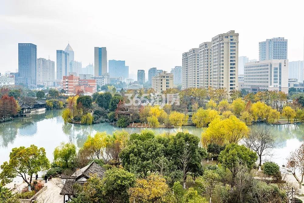 旭辉东原国滨府余暨公园秋季实景图 2018年摄