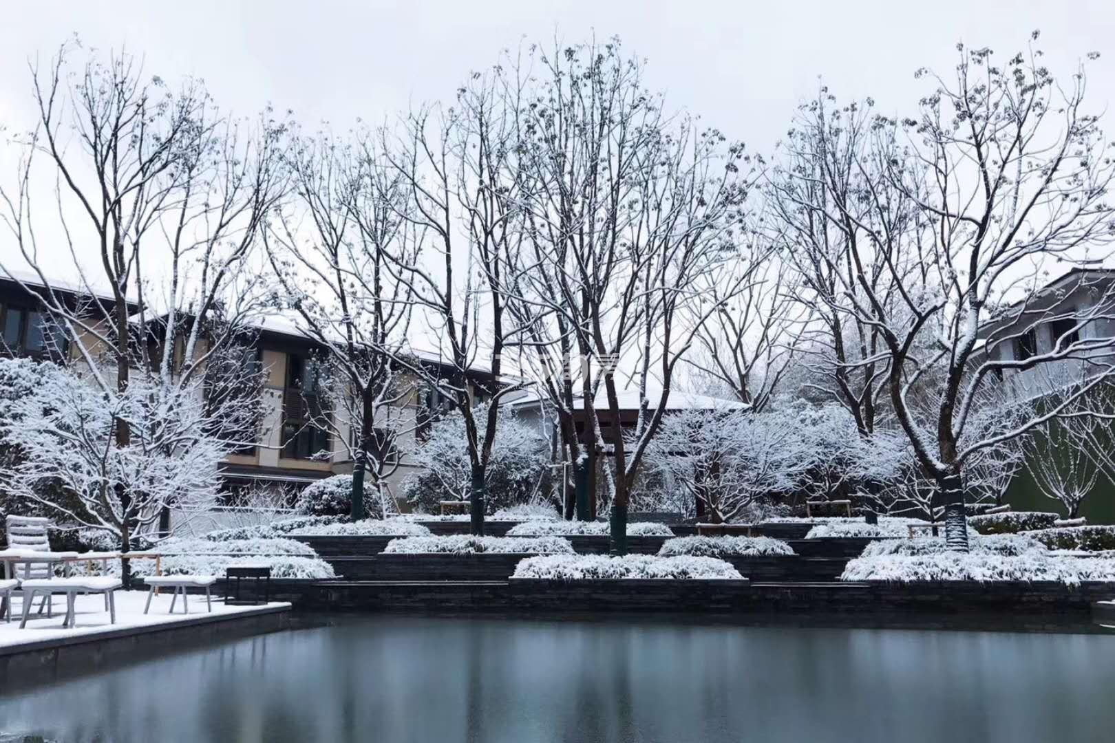 君望花苑别墅实景图 2018年1月摄