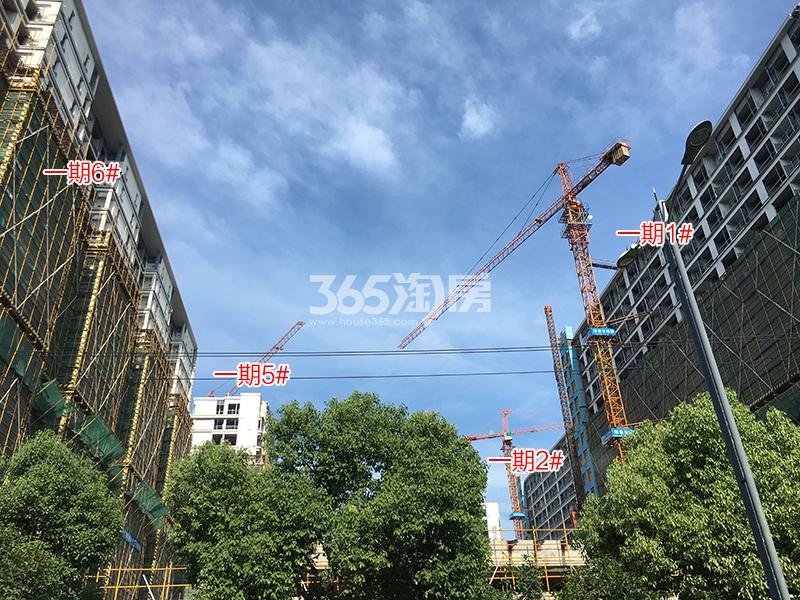 梧桐郡一期1、2、5、6号楼施工进程图（2018.6）