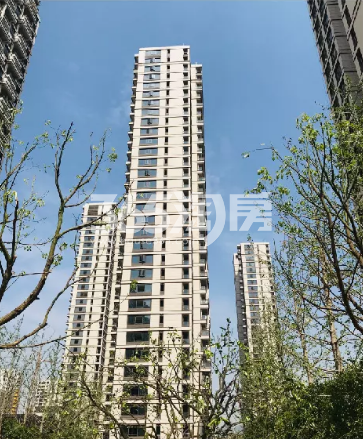 2019年5月西房拱宸外滩高层实景
