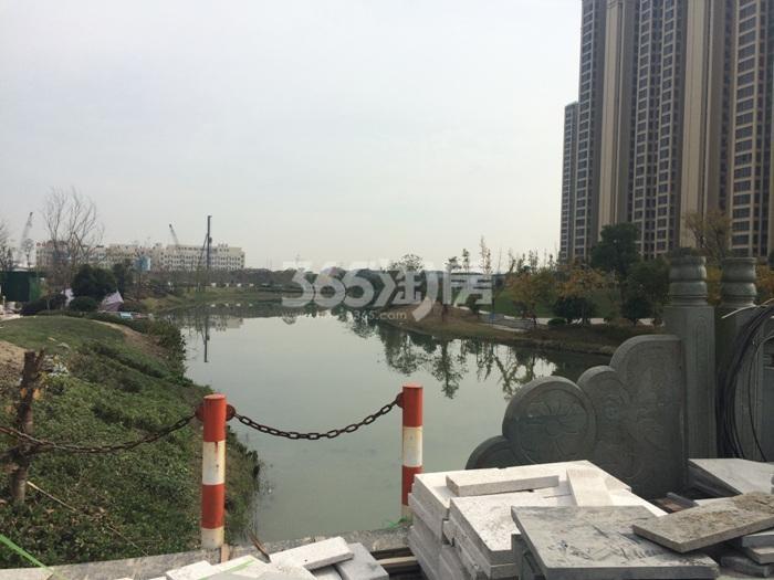 新城香悦半岛南侧河流实景图 2015年11月摄