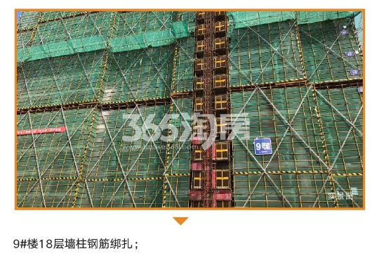 启宸公寓9月实景