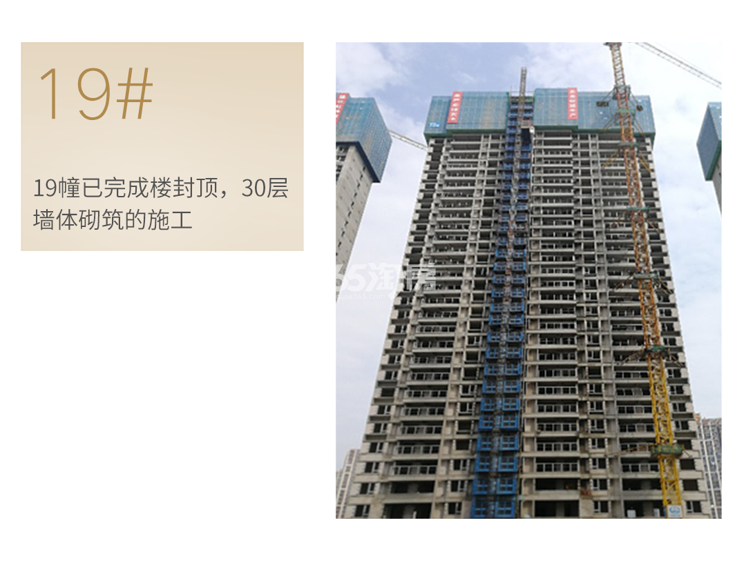 蔚宸悦城工程进度