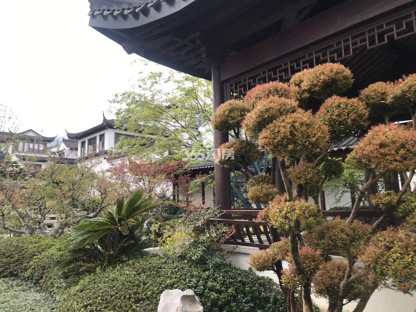 富春玫瑰园合院280方样板房——庭院