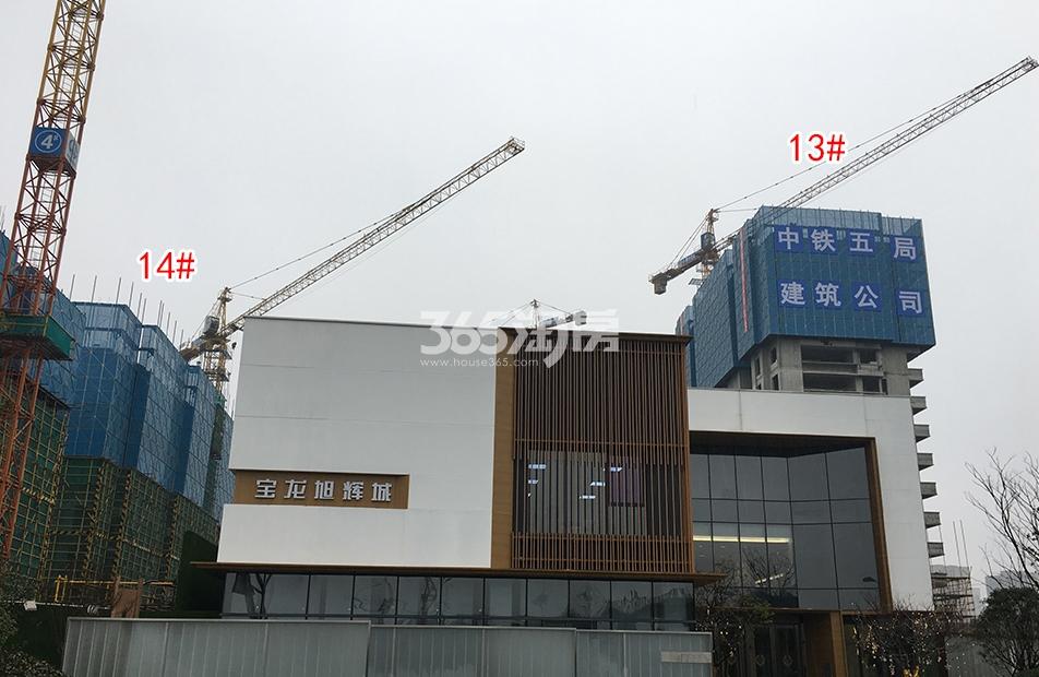 蔚宸悦城工程进展（2019.02）
