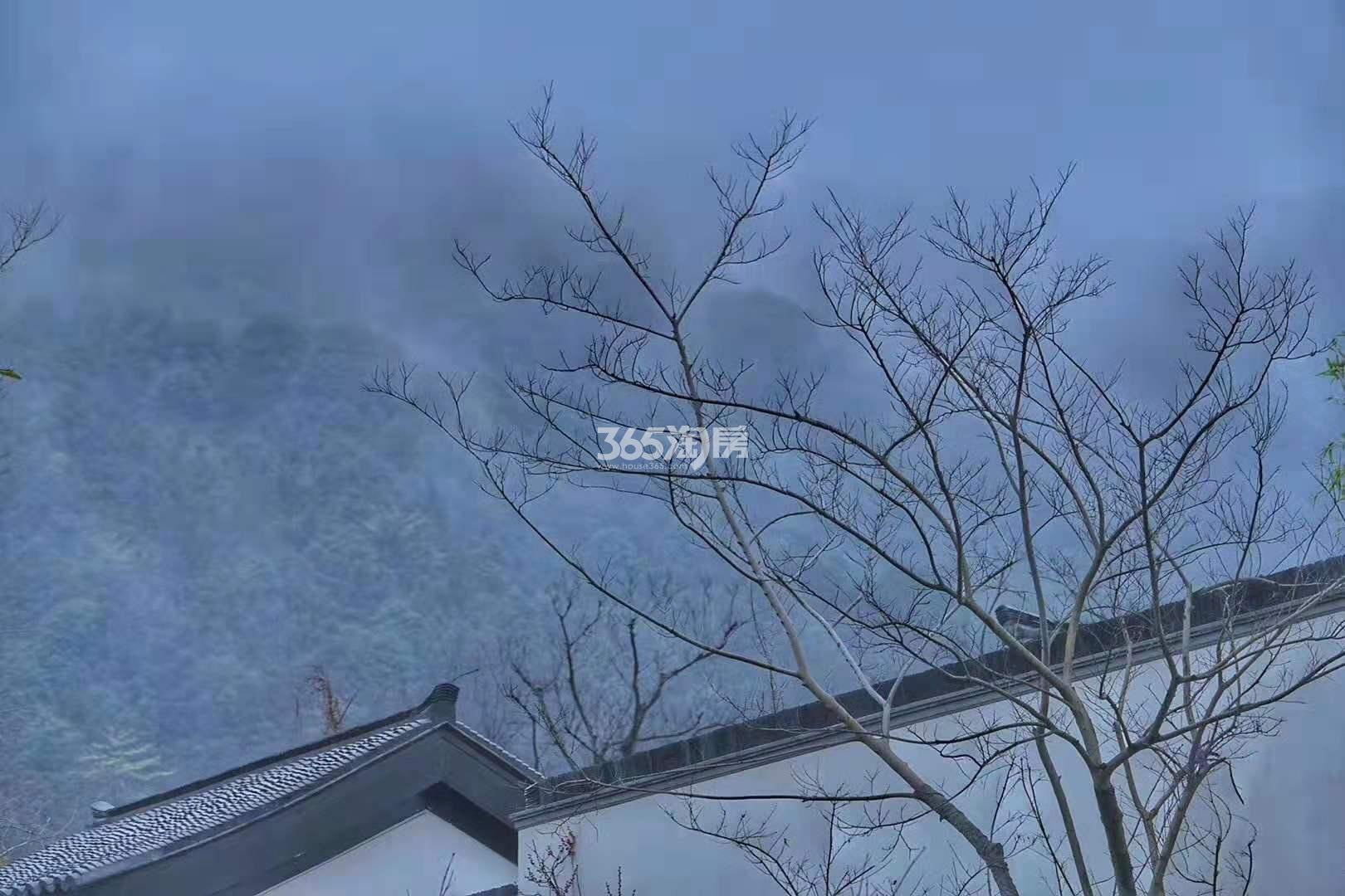 青云山居青云山居桃李春风实景（2019.02）