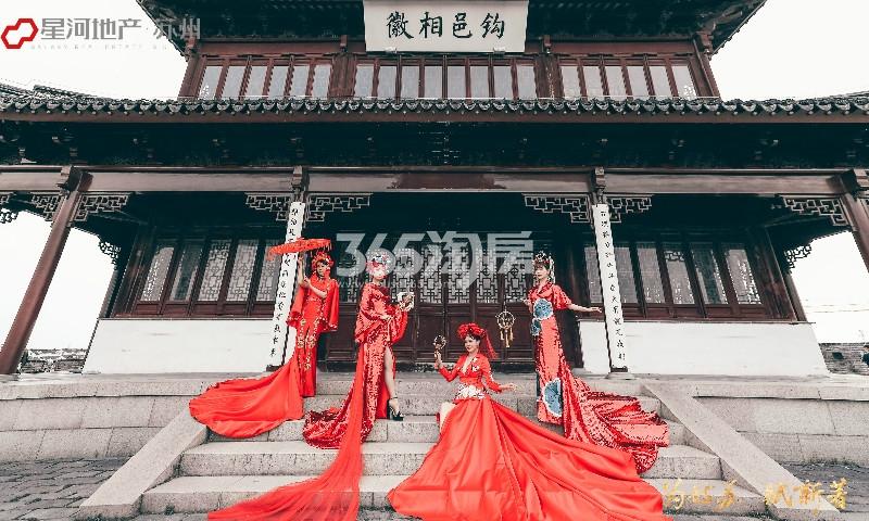 星河平江新著案名公开活动图