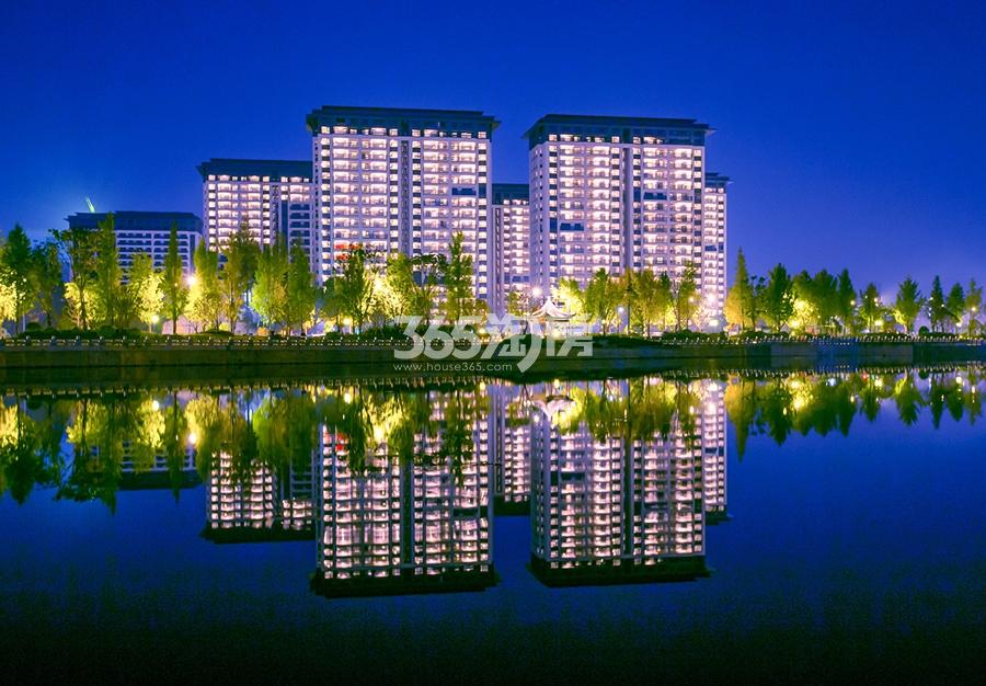 苕溪壹号夜景实景图
