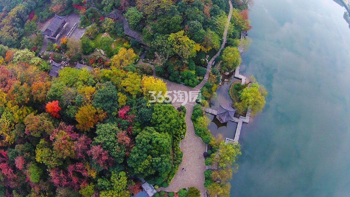 首开望宸周边的半山国家森林公园实景