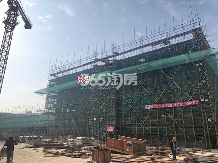 璞丽东方项目8号楼施工进程（2018.4）