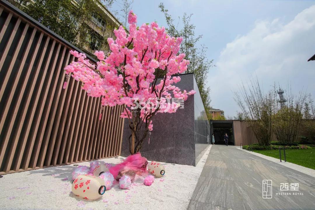 万科西望5.1活动现场实景图