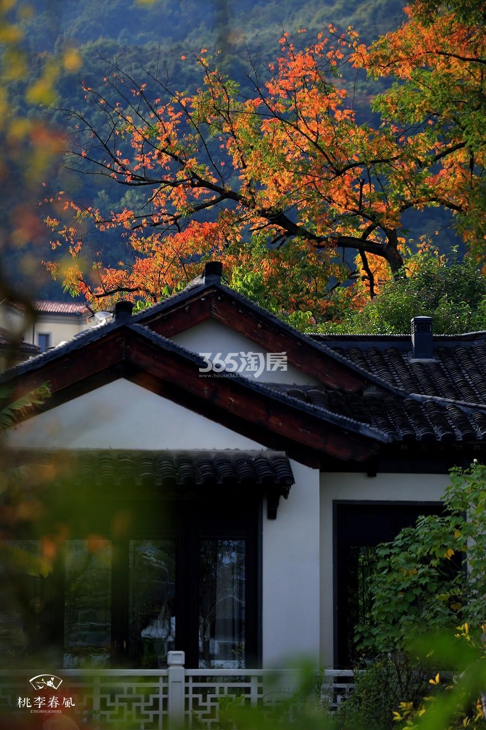 青云山居青云山居桃李春风小镇秋色