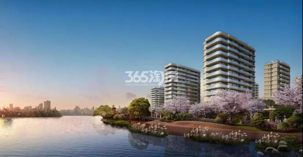 金昌白鹭凤林效果图