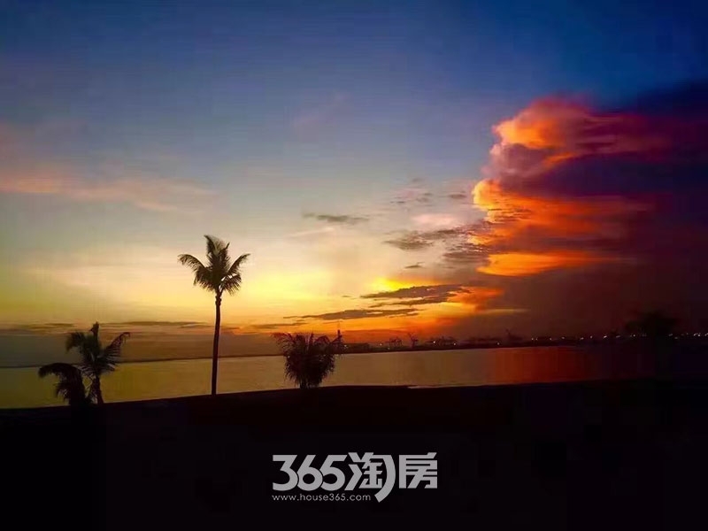 碧桂园森林城市实景图