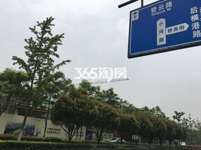 2016年5月绿城江南里项目实景