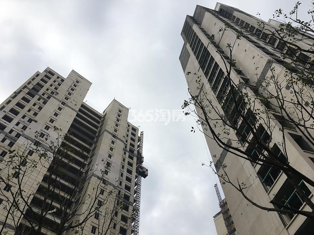 龙沁城实景图（2019.11）