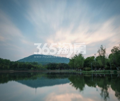京冠悦荣府周边配套大蜀山（2020.4.3）