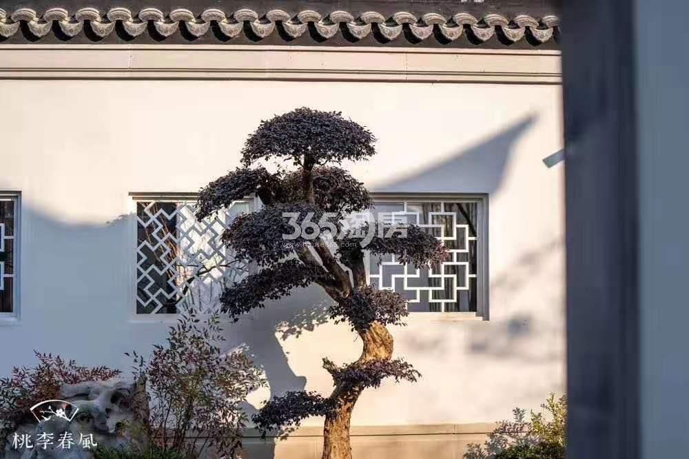 青云山居青云山居桃李春风院子交付时间（2019.12）