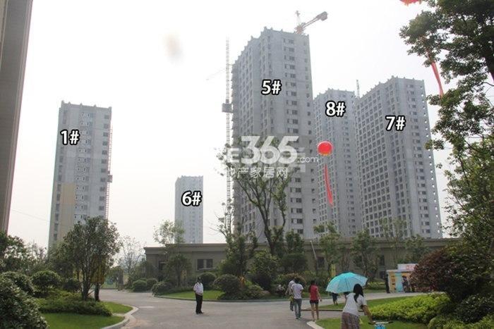 宋都东郡国际二期1、5-8号楼实景图 2015.6摄
