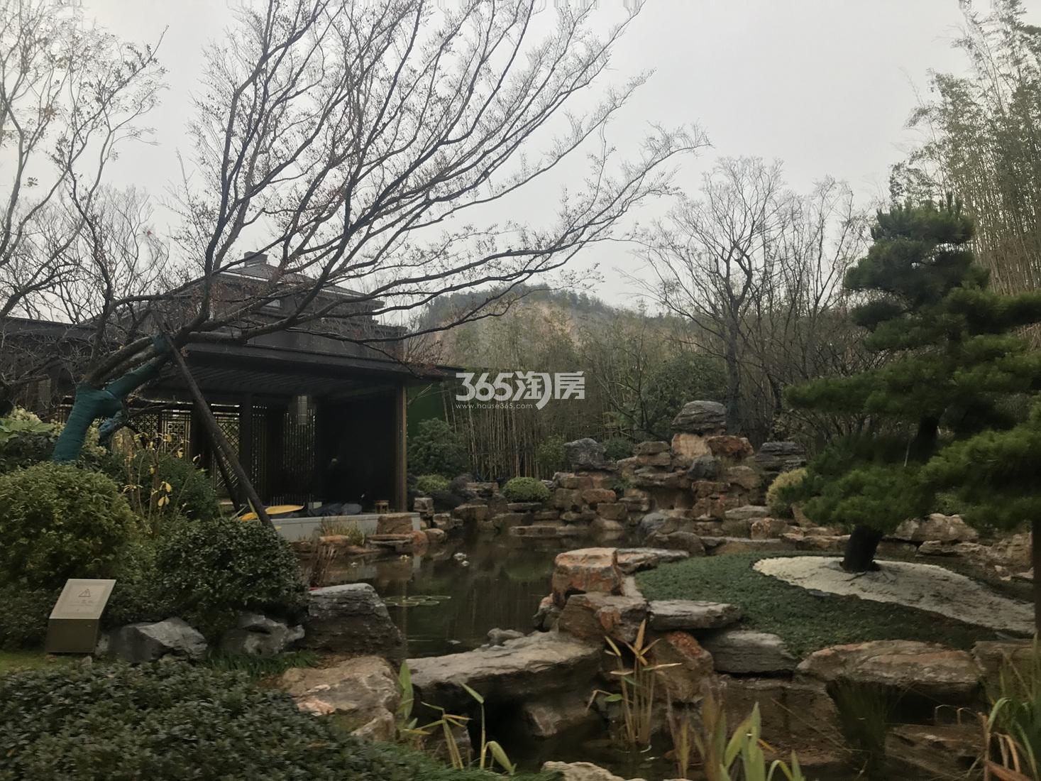 泰禾野风大城小院合院样板房景观实景图（2019年12月摄）