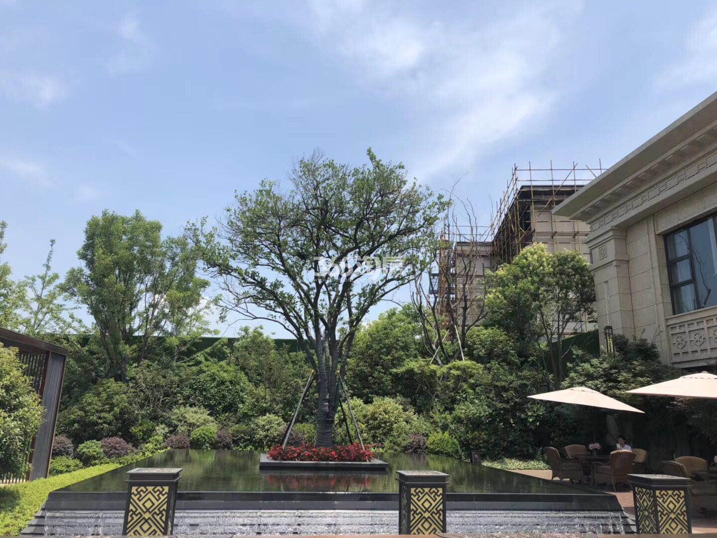 明发阅山悦府鸟瞰图_南京明发阅山居_南京新房网_365淘房