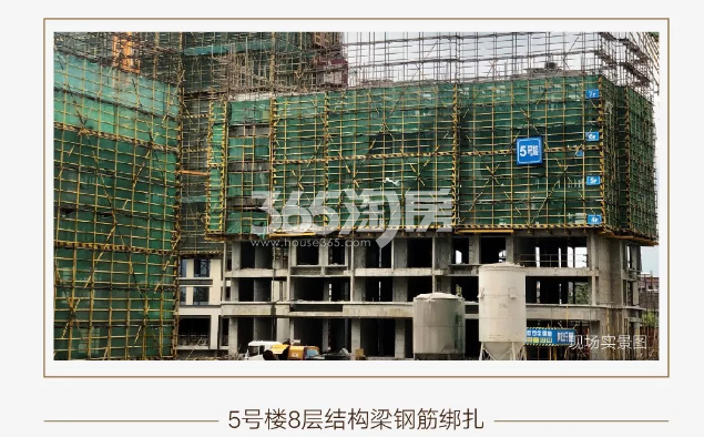 中天卓越风荷锦庭5#施工实景图（2019.7摄）