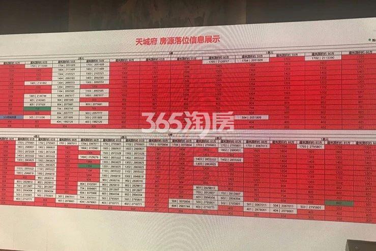 天城府天著选房现场（11.11）