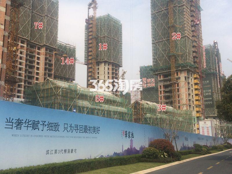 滨江华家池凯1、2、3、5、7、14号楼施工实景图 2016年3月摄