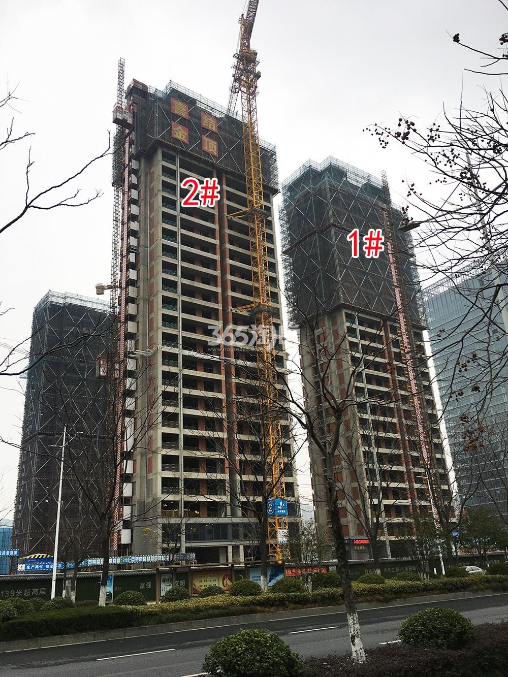 2020年1月绿城晓风印月1、2号楼实景