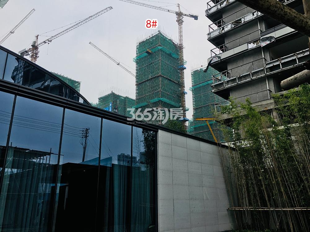 越秀湖山悦实景图（2019.06）
