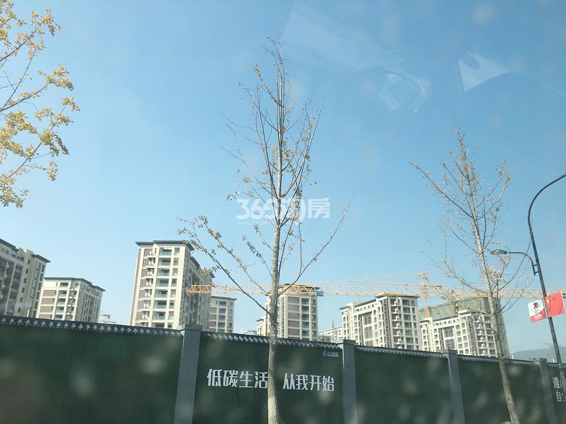 中天珺府实景（2019.11）