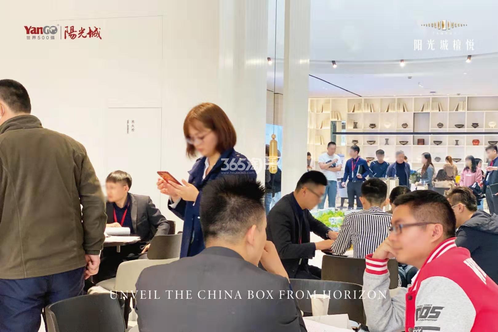阳光城·檀苑示范区开放现场人气图
