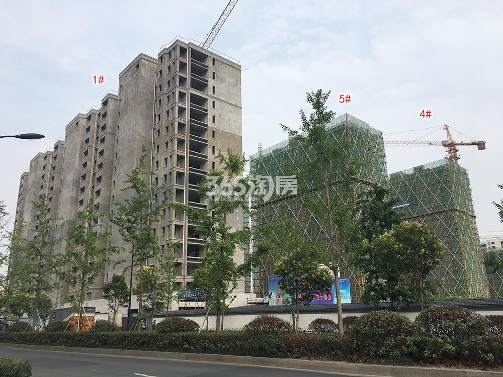 招商武林郡1、4、5#工程进展（2018.6）