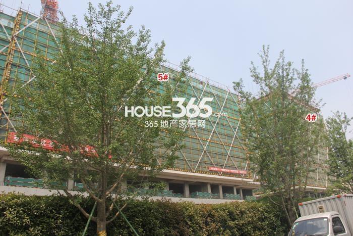 滨江华家池4、5号楼施工进度实景图 2015年4月摄 