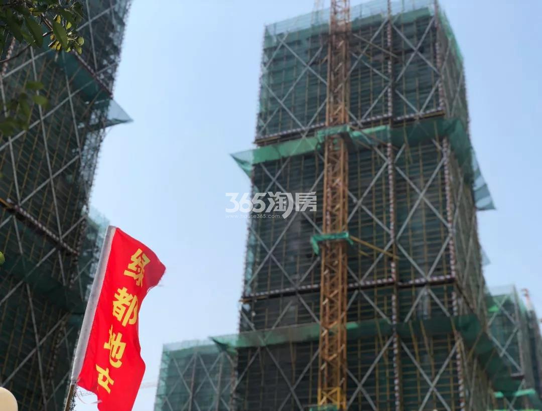 2019年3月上海绿都崇贤项目建造实景