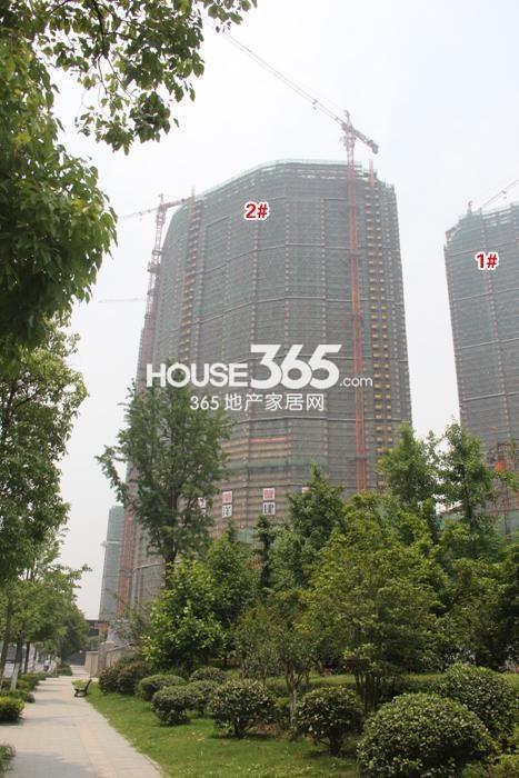 2015年5月绿地旭辉城项目实景--1、2号楼