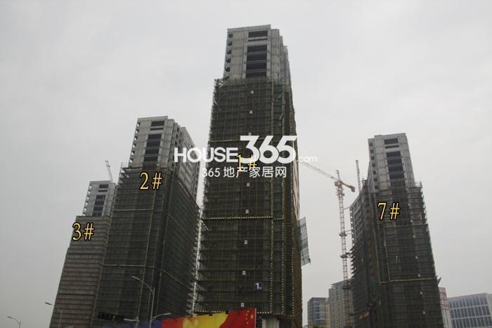 滨江金色江南1、2、3、7号楼施工实景图 2015年5月摄