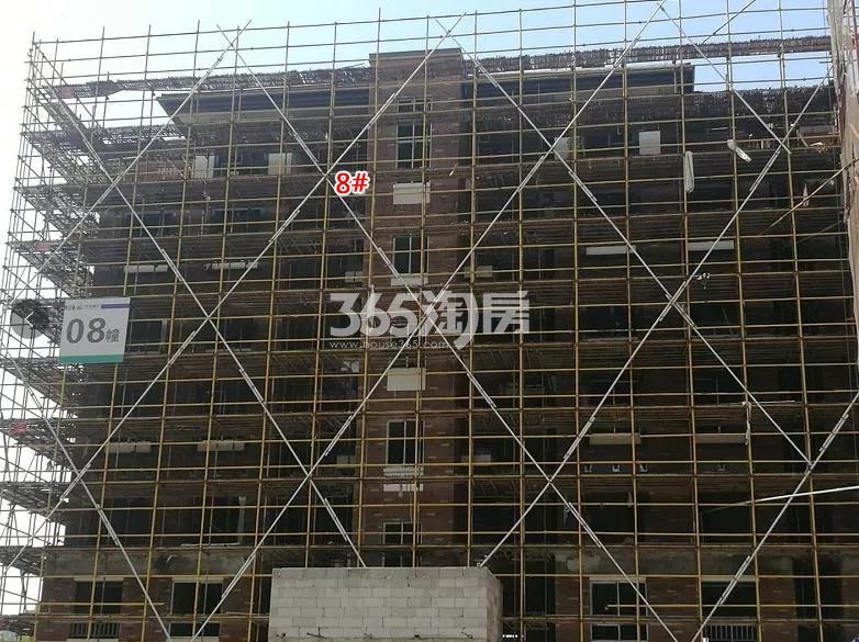 禹洲滨之江南区8号楼实景图（2018.6）
