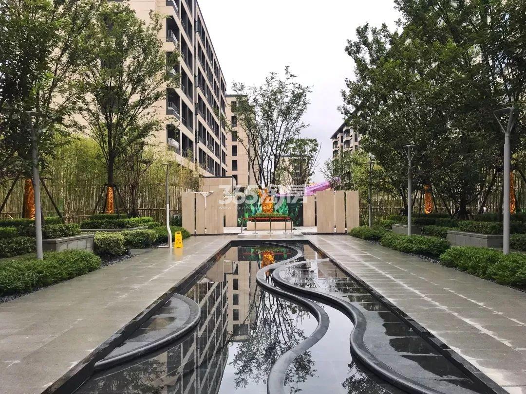 晓春城（都会钱塘东区）实景图（2019.09）