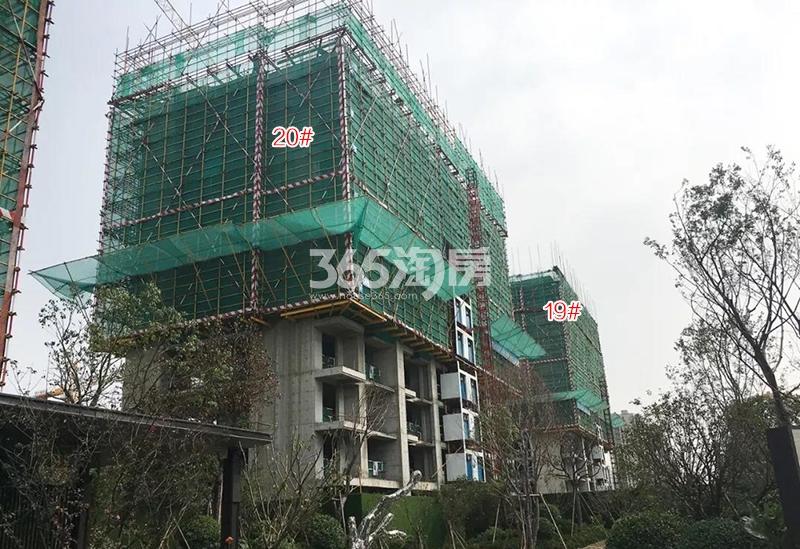 越秀景瑞悦见山19、20号楼实景图（2018.8）