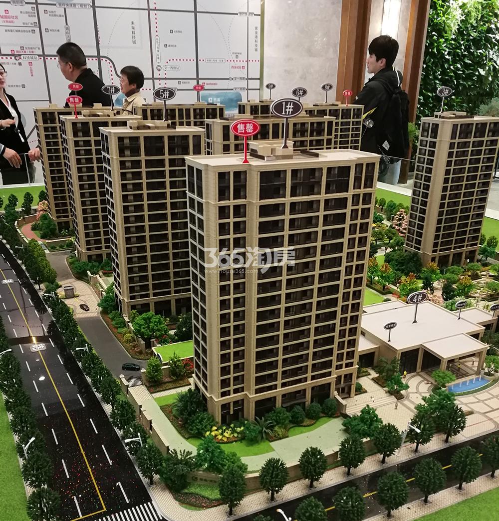 绿城国际社区工程进展（2019.03）